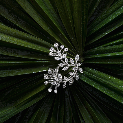 Design Image